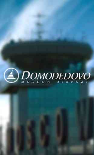 Moscow Domodedovo Airport 1