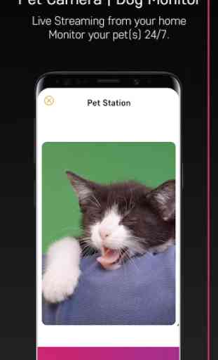 PetCam App - Dog Camera App 3