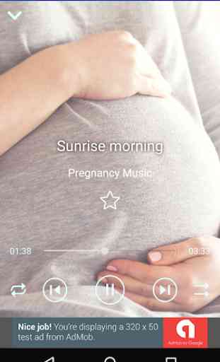 Pregnancy Music Collection 200 3