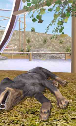 Rottweiler Dog Simulator 4