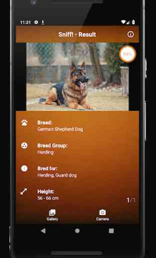 Sniff! - Dog Breed Identification 3