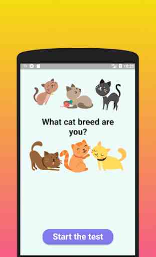 What cat breed are you? Test 1