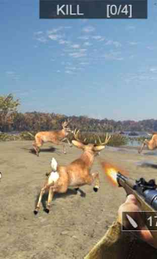 Wild Hunt Animal Shooting Sport Hunting 2018 4