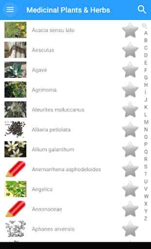 Medicinal Plants & Herbs: Encyclopedia 1