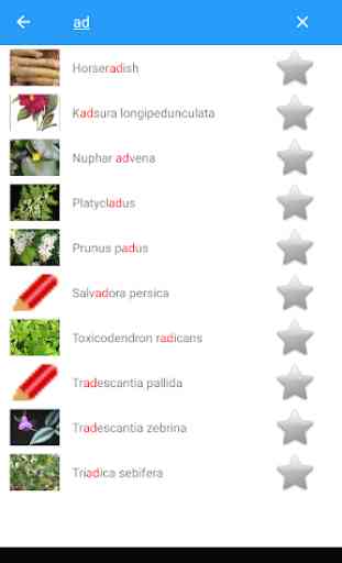 Medicinal Plants & Herbs: Encyclopedia 2