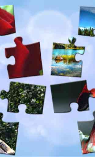 Puzzles for adults 1