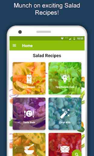 Salad Recipes: Healthy Foods with Nutrition & Tips 2