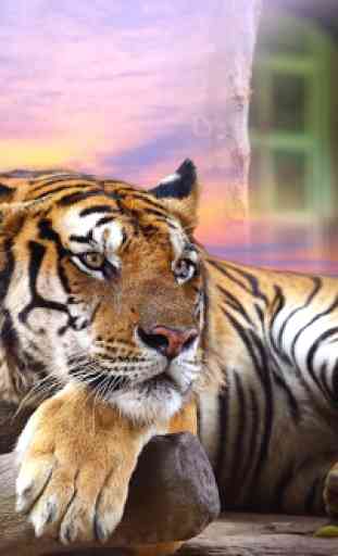 Tiger Photo Frames 2