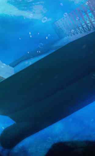 VR Abyss: Sharks & Sea Worlds for Cardboard V.R. 3