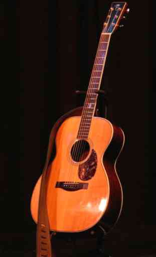 Acoustic Guitar Lessons 2