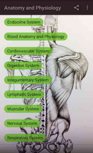 Human Anatomy and Physiology 1