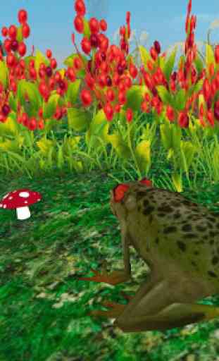 Rain Forest Animals - Wild Frog Survival Sim 1
