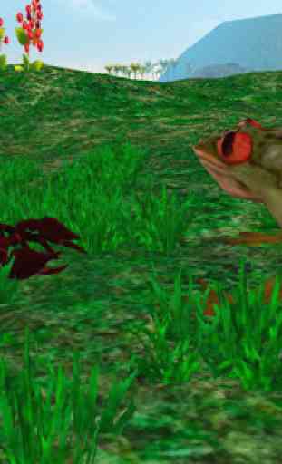 Rain Forest Animals - Wild Frog Survival Sim 4