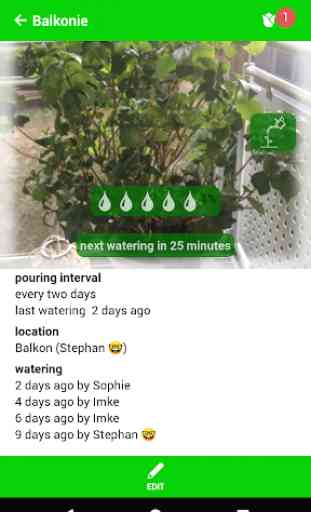 Watering Pot 2