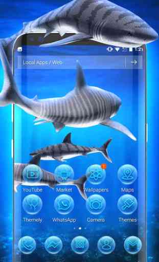 3D tiger sharks theme 2