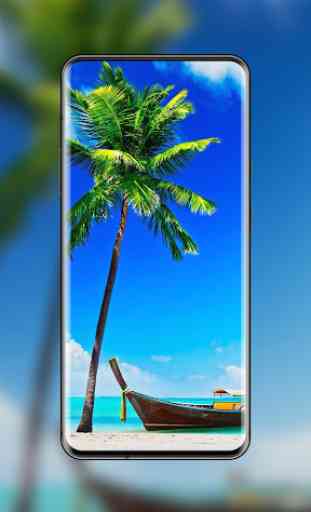 Beach Wallpapers - HD & 4K Backgrounds 1