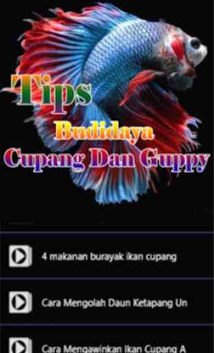 Budidaya Cupang Dan Guppy 2