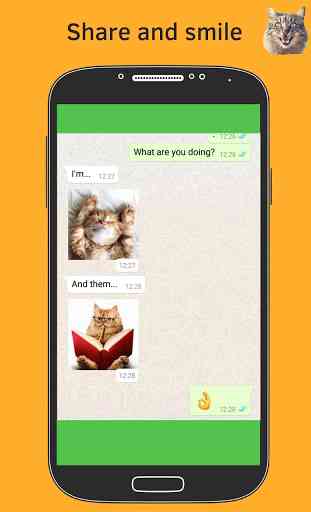 Cat Stickers For Chat - New WAStickerApps 4