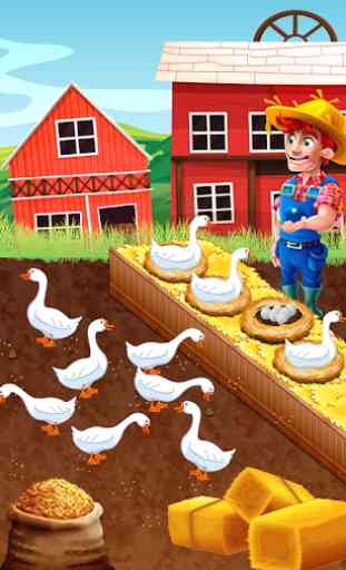 Chicken and Duck Poultry Farming Game 2
