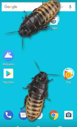 Cockroaches in Phone Ugly Joke 1
