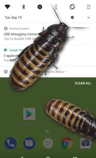 Cockroaches in Phone Ugly Joke 3