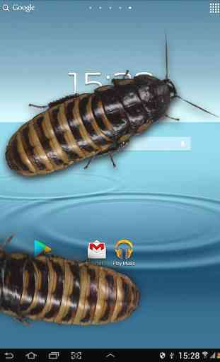 Cockroaches in Phone Ugly Joke 4