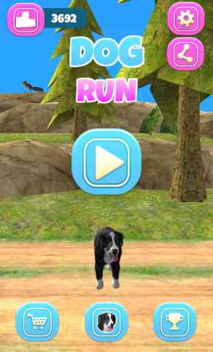 Dog Run 1