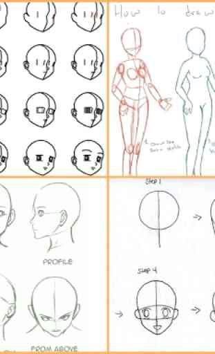 Drawing Anime Step by Steps 1