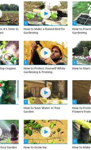 Gardening Tips (Guide) 1