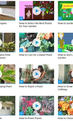Gardening Tips (Guide) 2