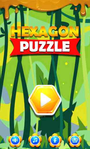 Hexagon Puzzle 1