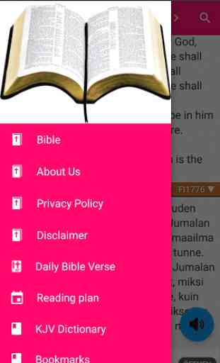 Holy Bible in many languages and many versions 1