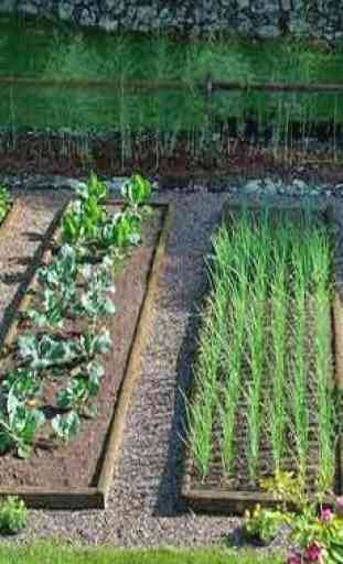 Idea Vegetable Garden 2