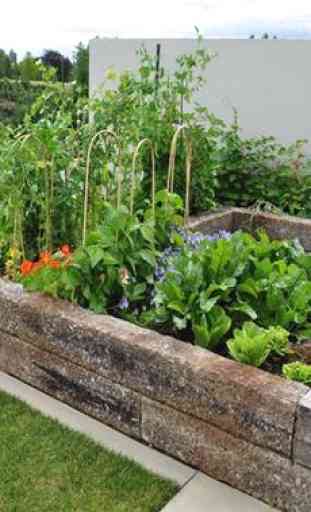 Idea Vegetable Garden 4