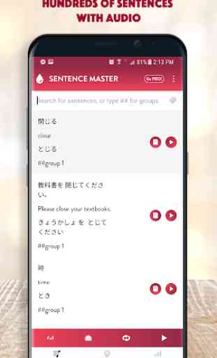 Japanese Sentence Master 2