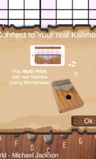 Kalimba Real 4