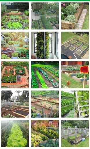 Latest Vegetable Garden Ideas 3