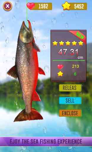 Pocket Fishing Adventure 3D- fishing games offline 1