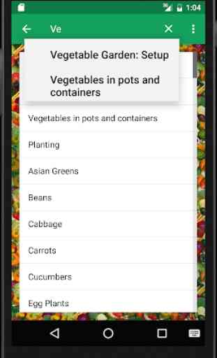 Vegetable Gardening 3