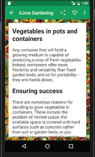 Vegetable Gardening 4