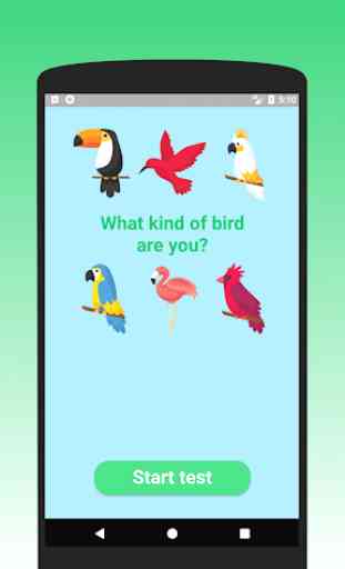 What kind of bird are you? Test 1