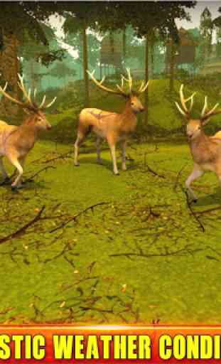 Big Deer Hunter : Classic Bow hunting game 4
