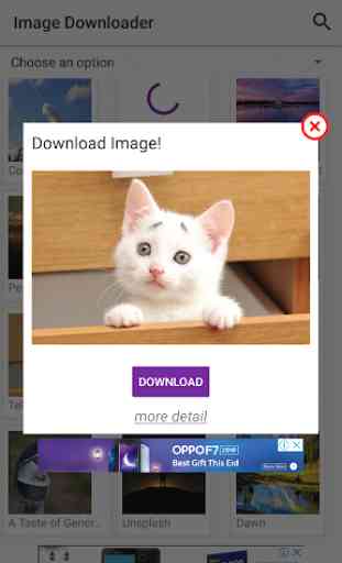 Image Downloader - Downloads HD Quality Photos 4