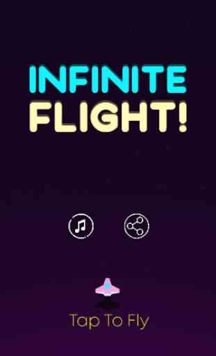 Infinite Flight! 1