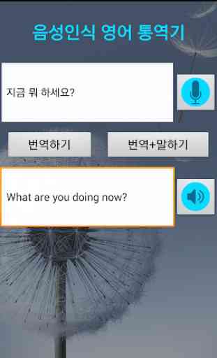 Korean to English translator 4