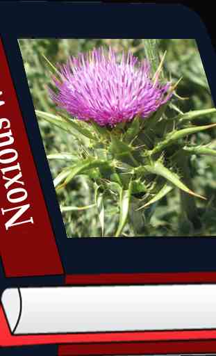 Noxious weeds 1