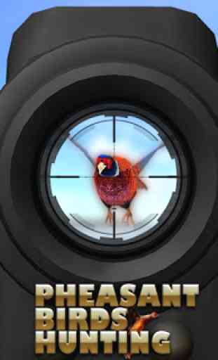 Pheasant Bird Hunting: Wings Sniper Shooting 2018 4