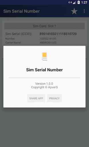 SIM Serial Number 2