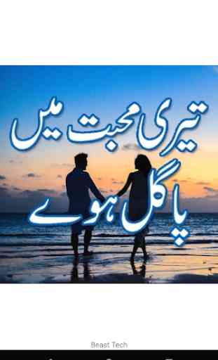 Teri mohabbat mein pagal huy Urdu novel 1