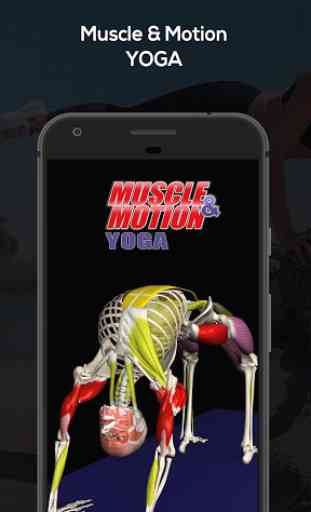 Yoga by Muscle & Motion 2